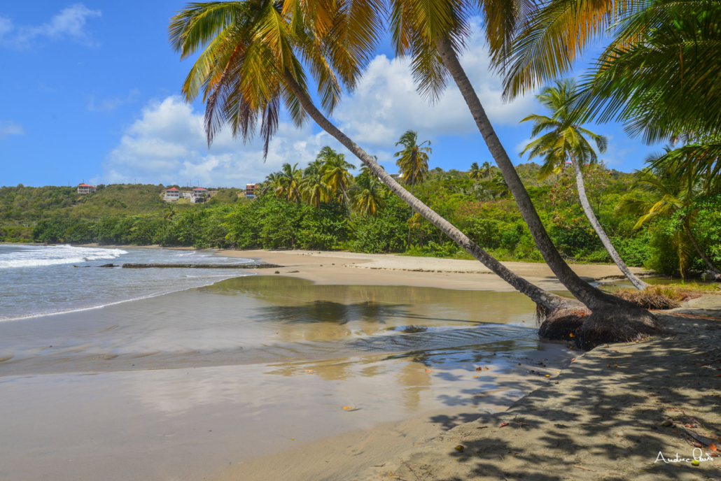 Grenada-4