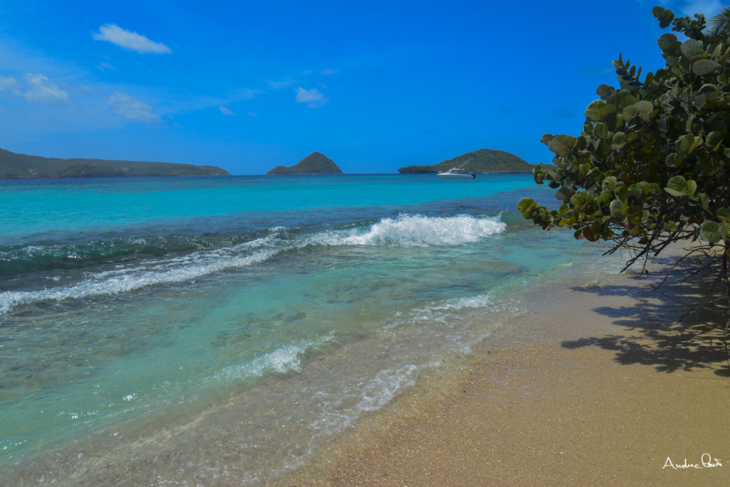 Grenada-8